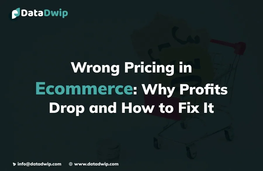 Why Online Stores Lose Profits Due to Wrong Pricing (And How to Fix It)