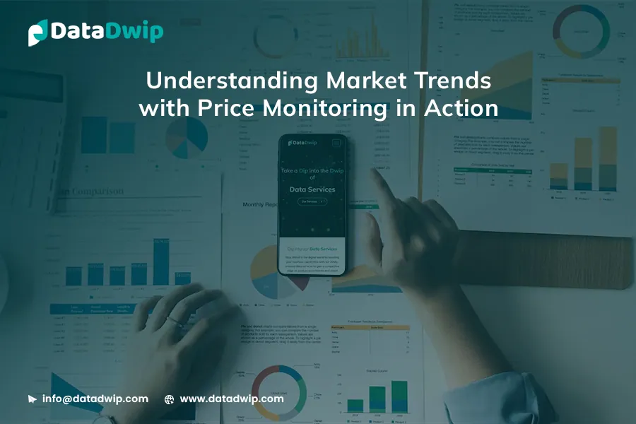 Mastering Market Dynamics: Price Monitoring in Action